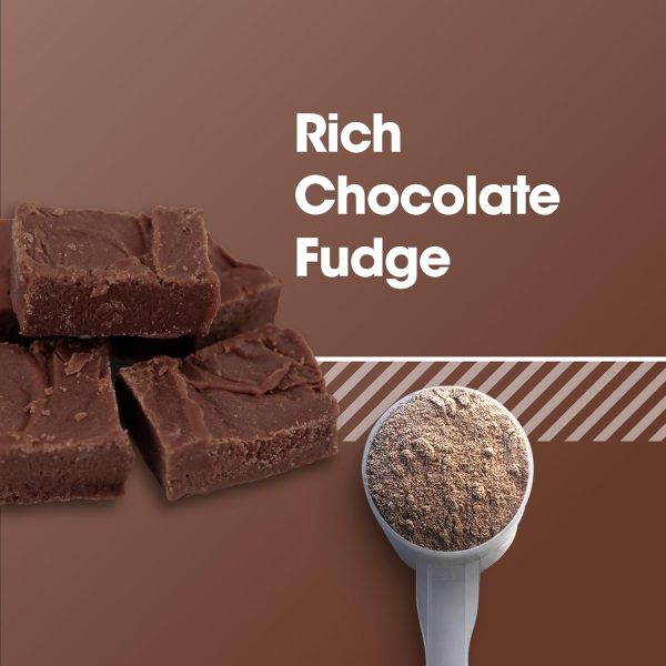 Optimum Nutrition Gold Standard 100% Plant Based Protein Powder, Gluten Free, Vegan Protein for Muscle Support and Recovery with Amino Acids - Creamy Vanilla, 20 Servings (Packaging May Vary)