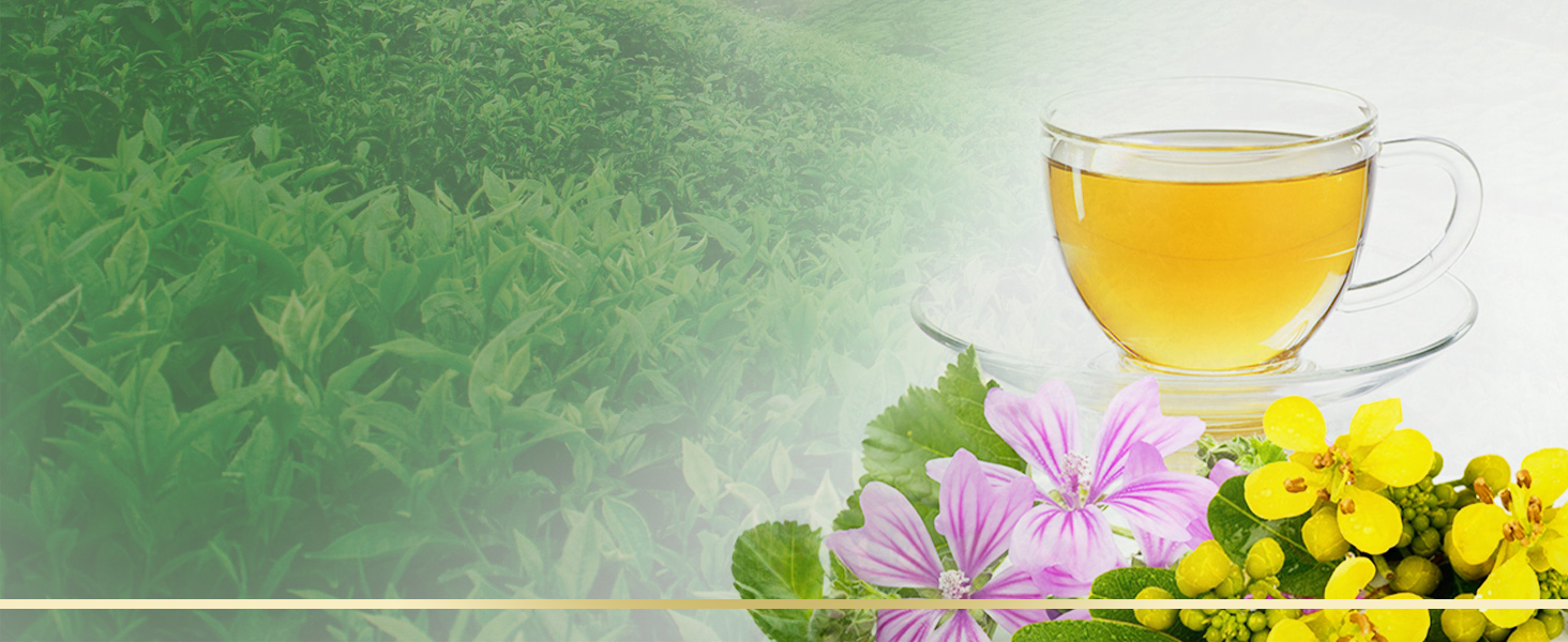 We suggest drinking small amounts of Uncle Lee's diet tea, then increasing over time*